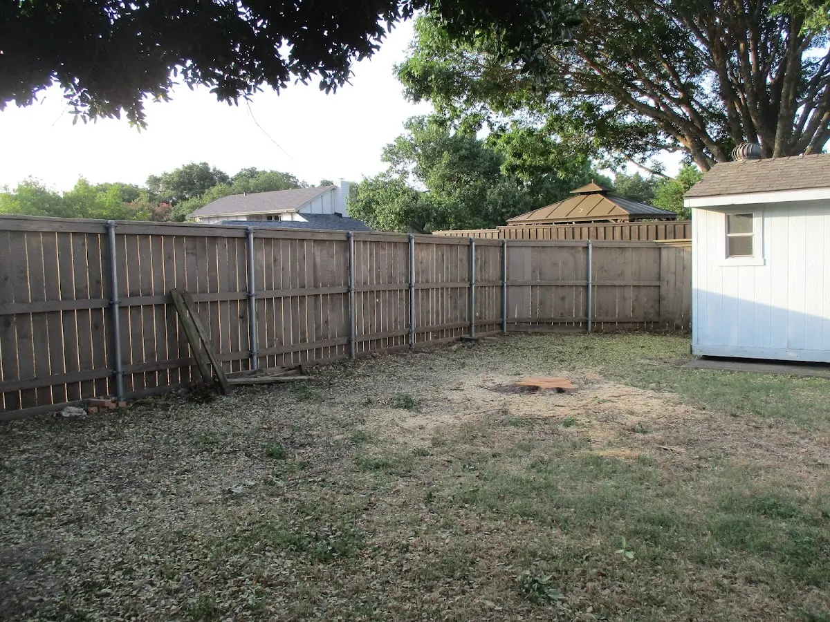 Cleared yard after professional tree removal in Holyoke